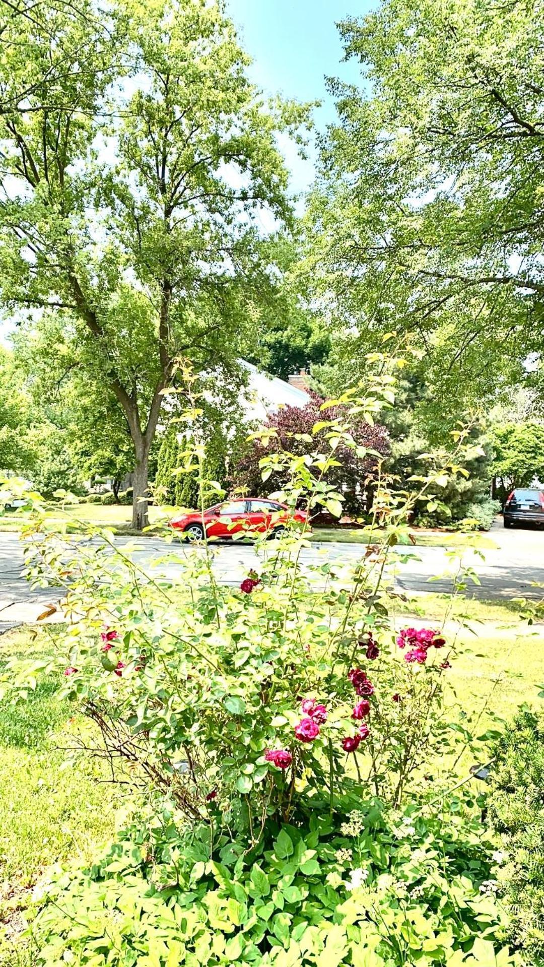 B3 A Private Room In Naperville Downtown With Desk And Wi-Fi Near Everything Exterior foto